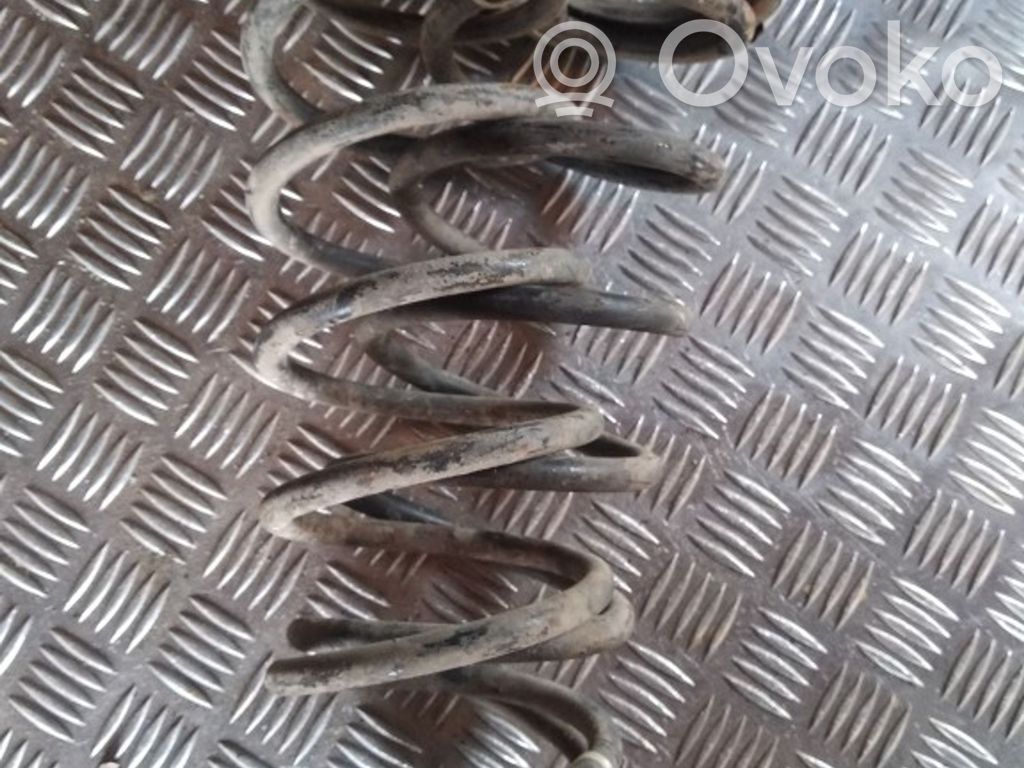 Rear coil spring