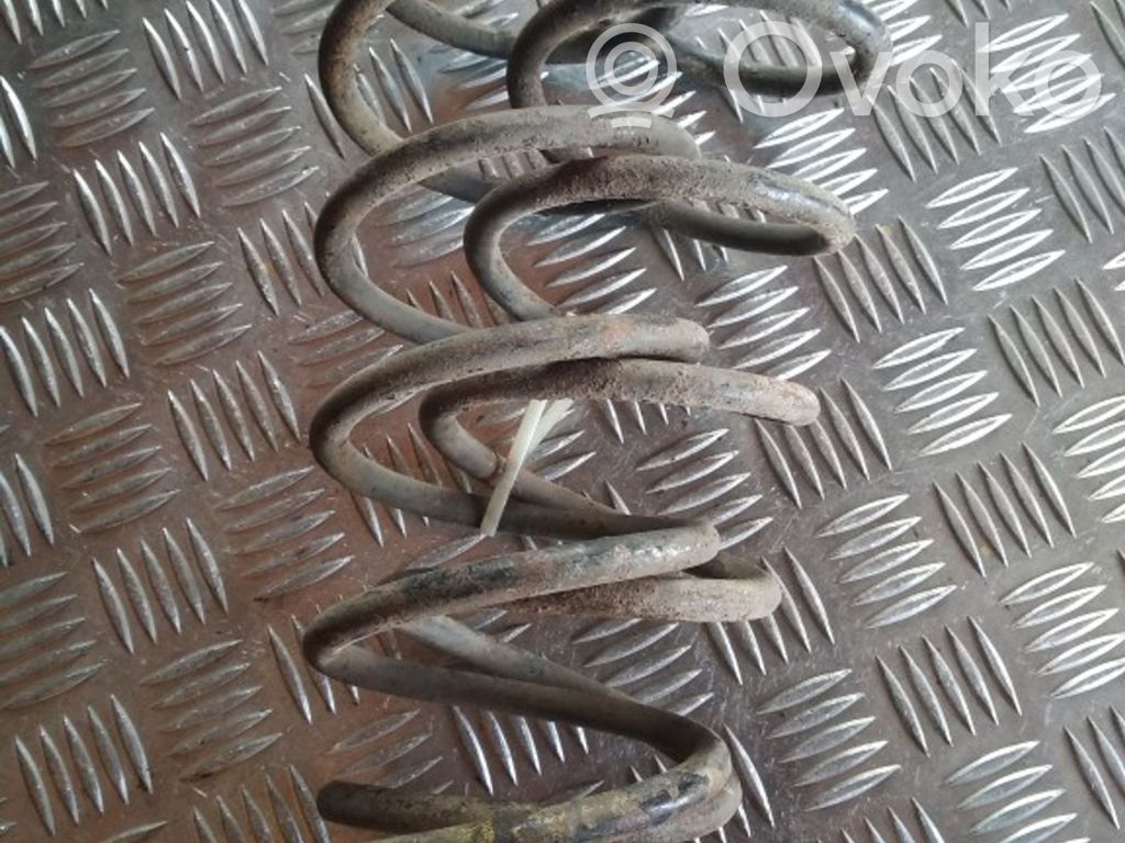 Rear coil spring