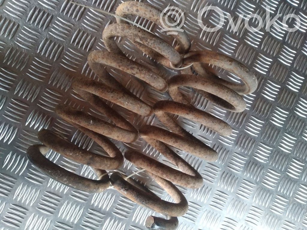Rear coil spring