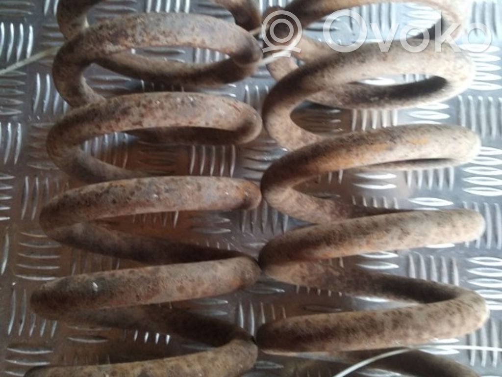 Rear coil spring