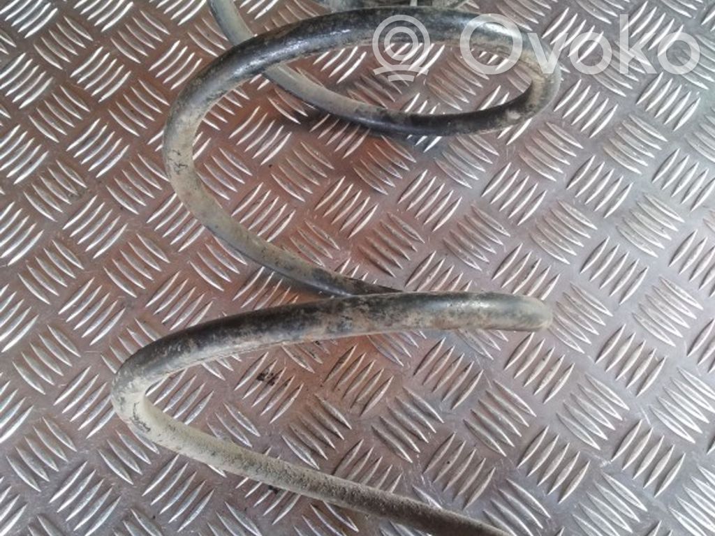 Front coil spring