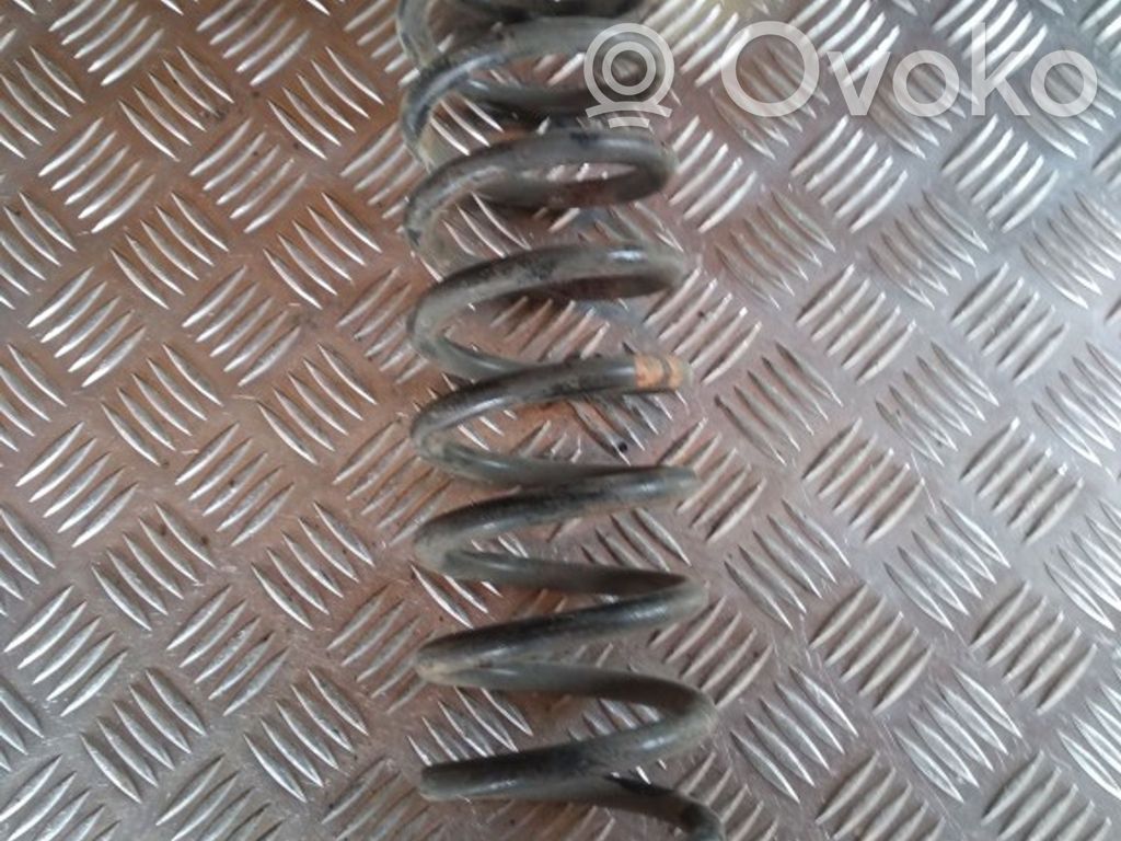 Rear coil spring