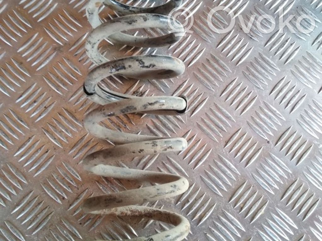 Rear coil spring