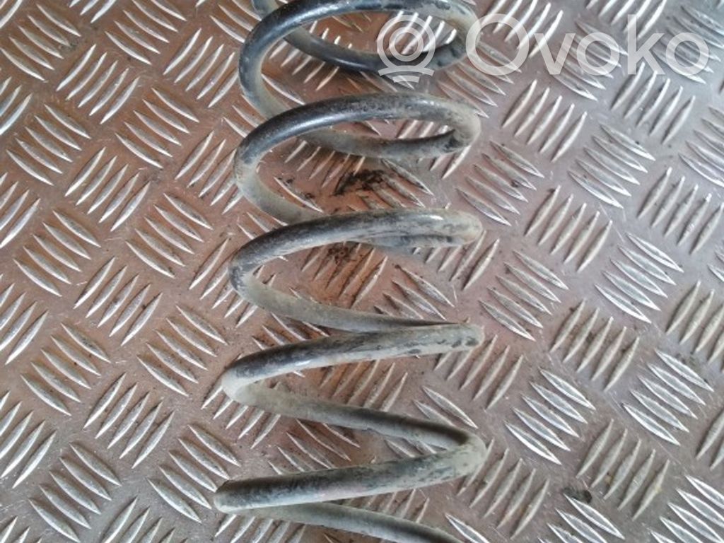 Rear coil spring