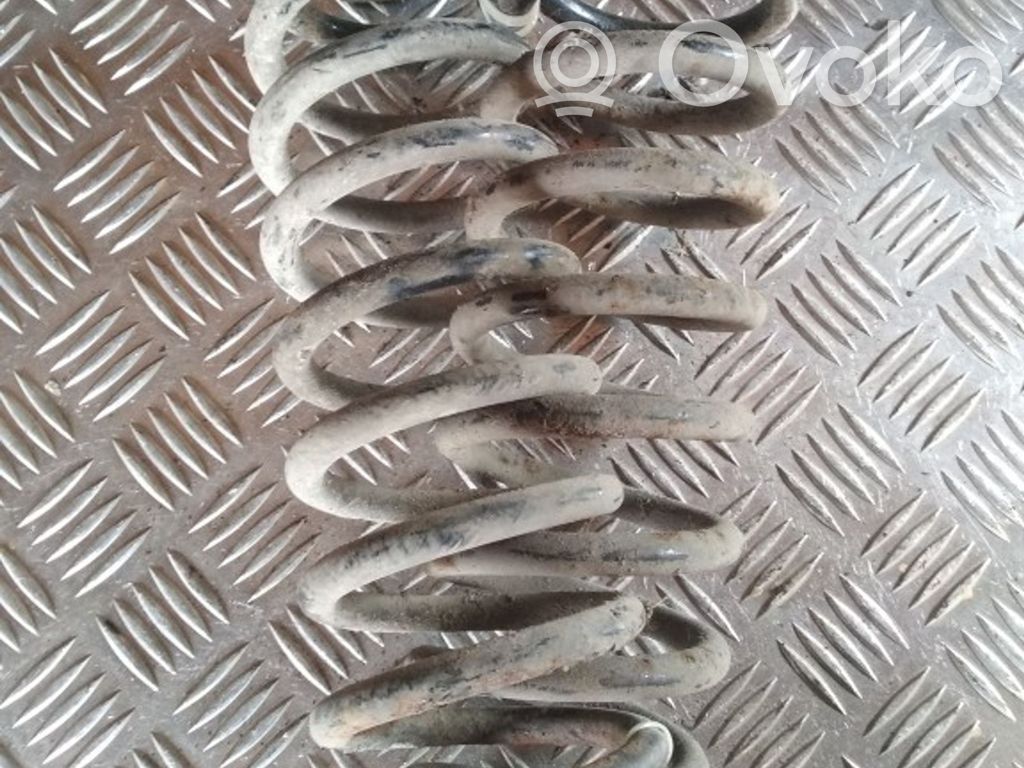 Muelle espiral trasero