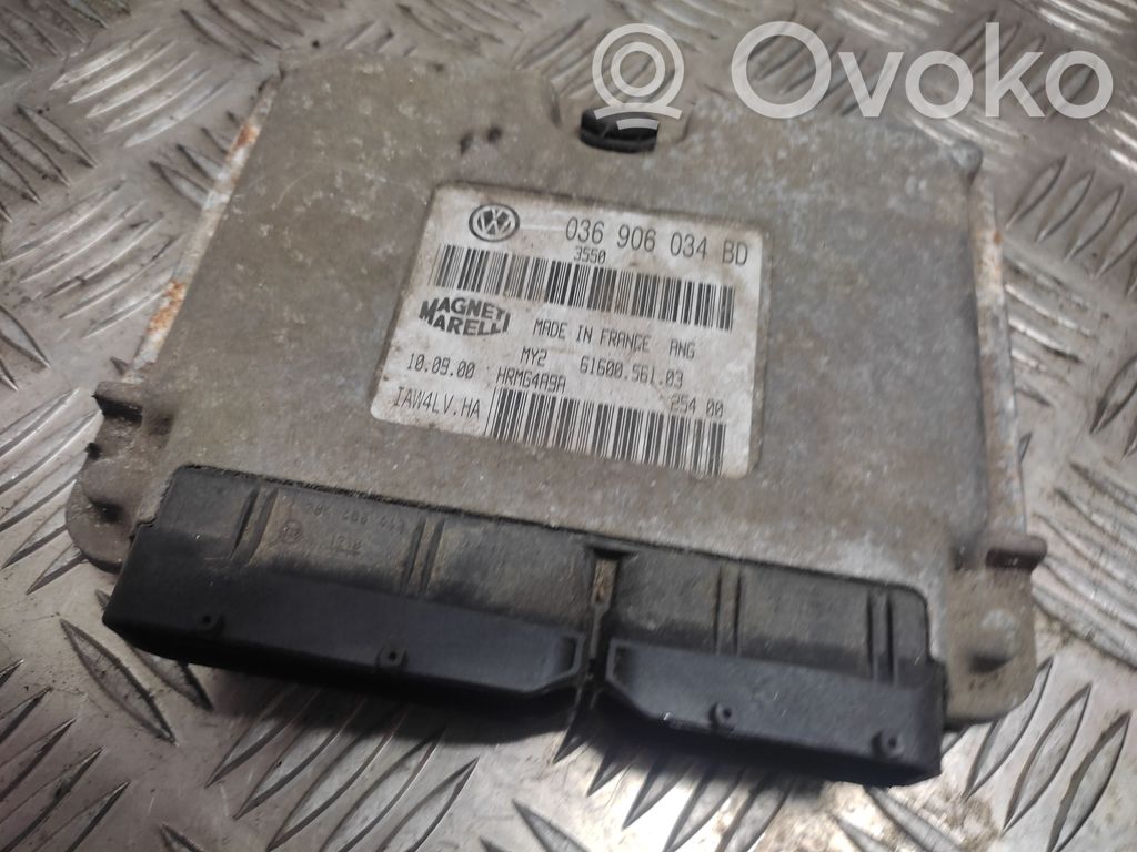 Engine control unit/module   036906034BD,6160056103
