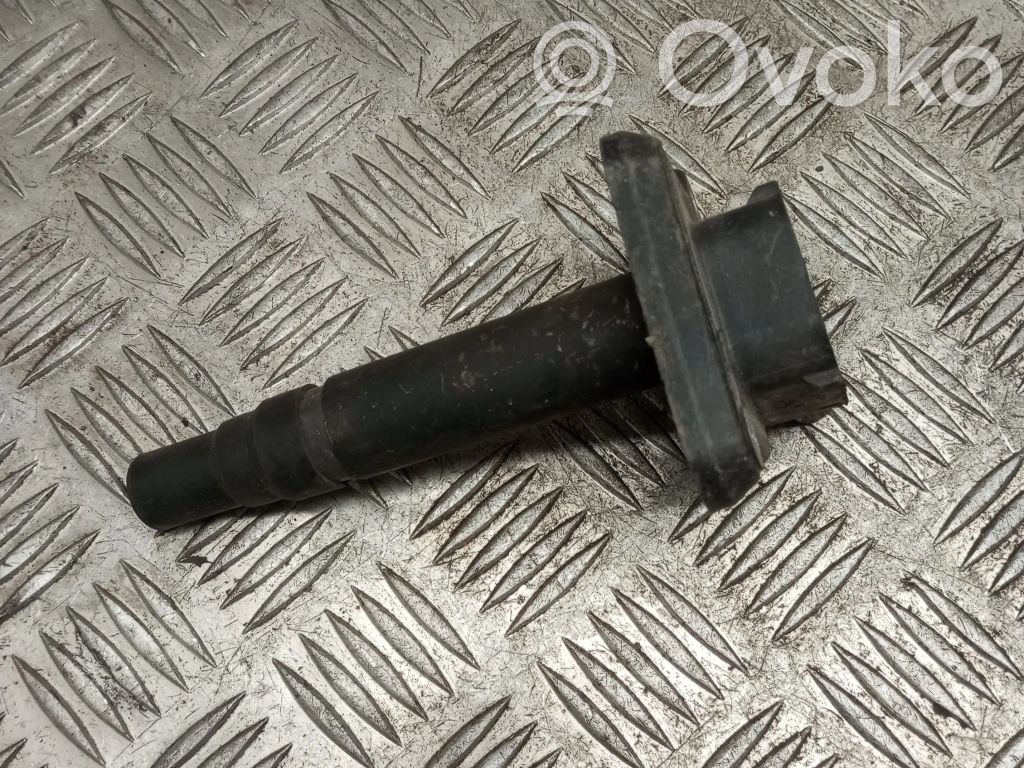 Suurjännitesytytyskela   CM11201
