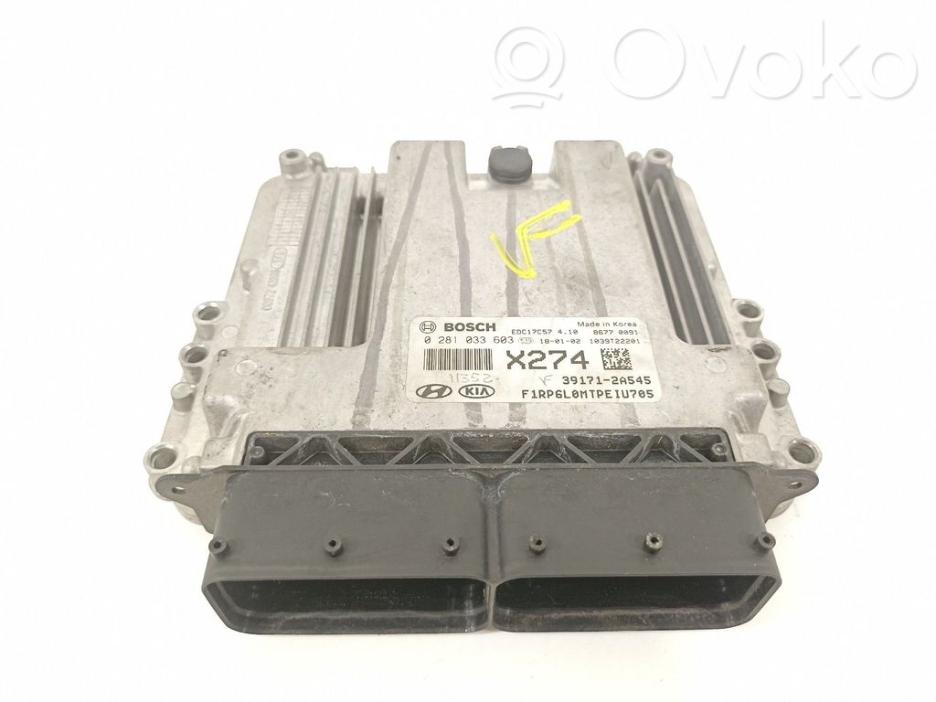 Engine control unit/module   391712A545