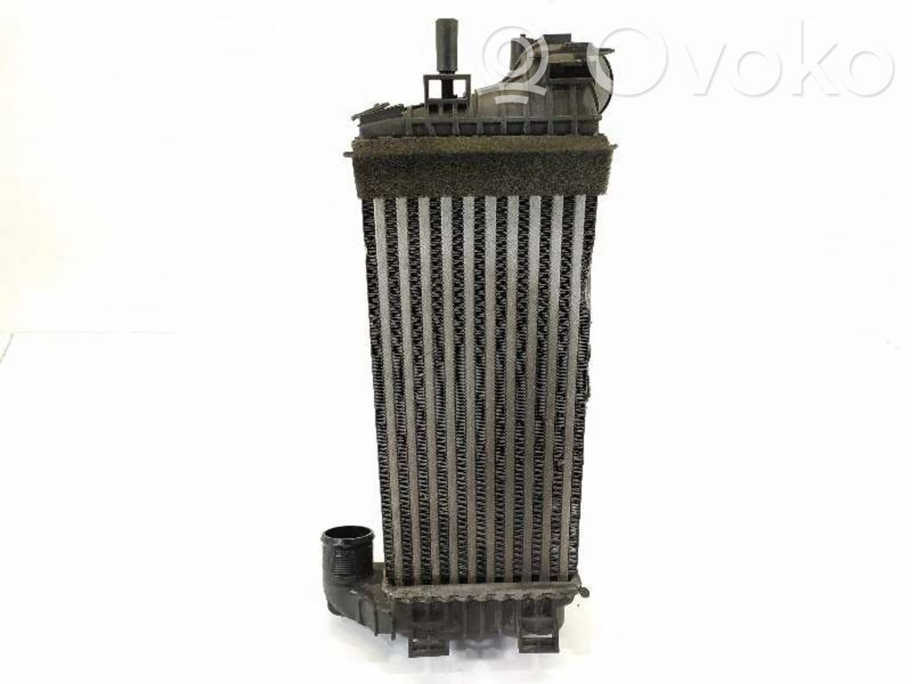 Interkūlerio radiatorius   BV619L440CJ,CX168002