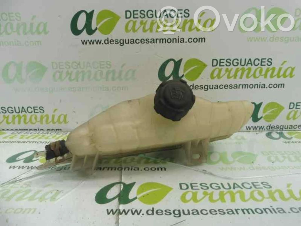 Kuro išsiplėtimo bakelis   21711AX600