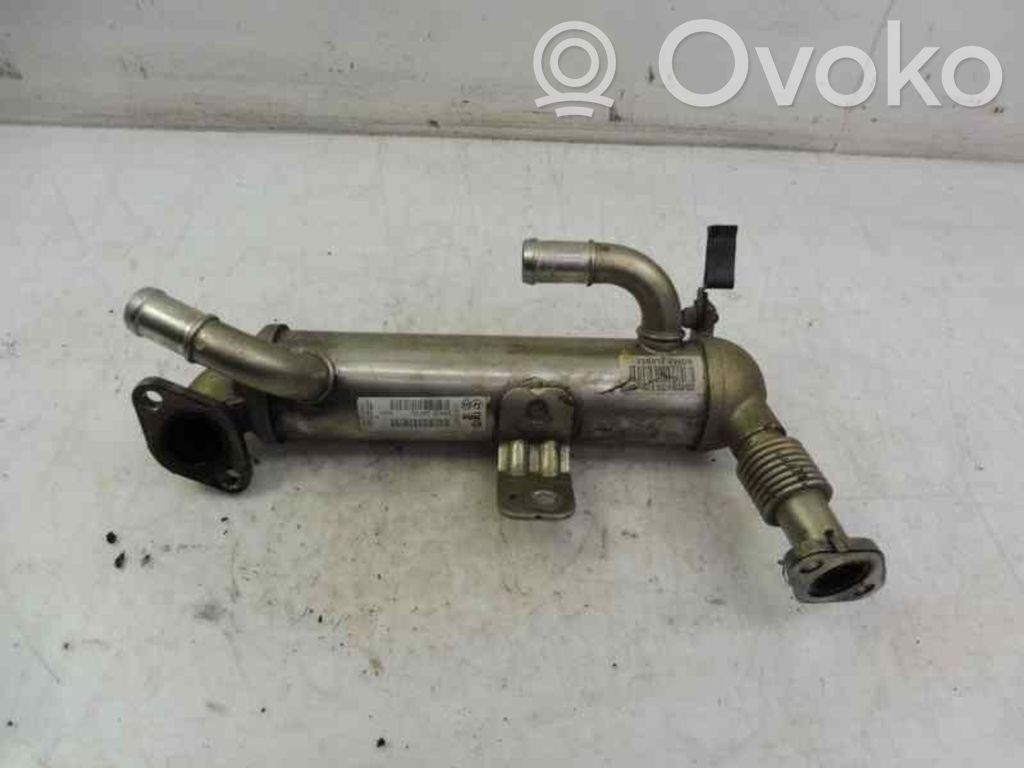 Volkswagen Passat Alltrack EGR-venttiili/lauhdutin 