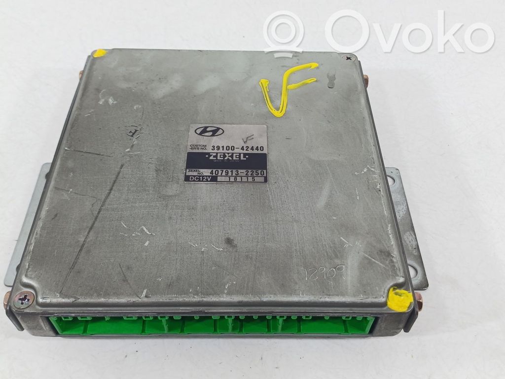 Hyundai Terracan Unitate/modul de control motor 