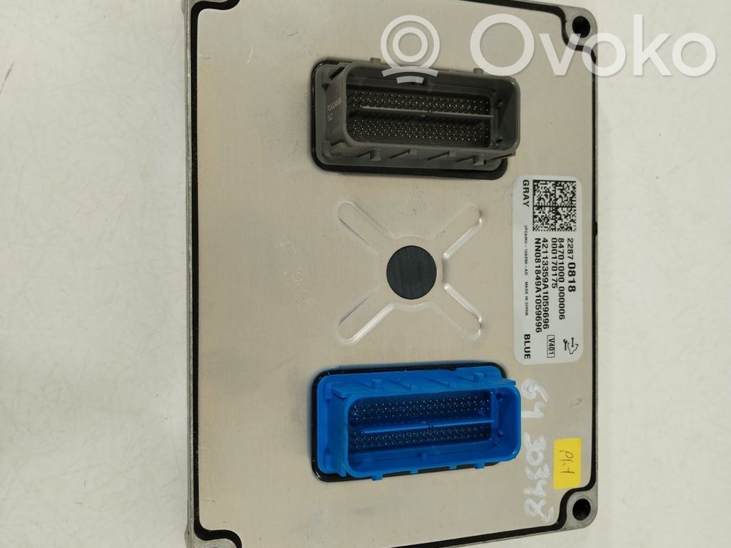 Opel Ampera Engine control unit/module 