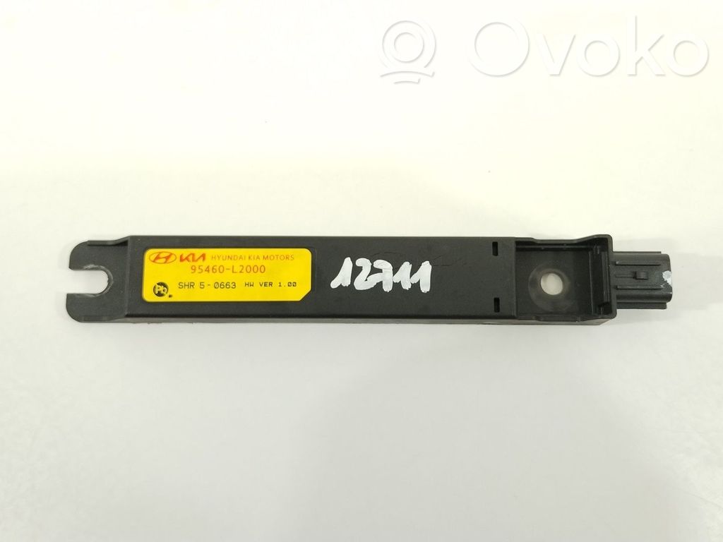 Hyundai Kona I Radio antenna 
