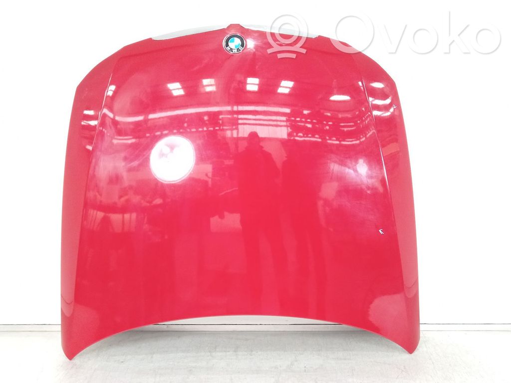 Capó/tapa del motor   41617140729