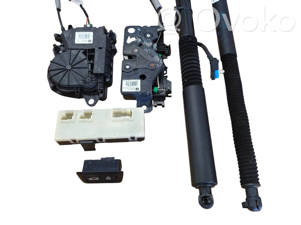 BMW X3 G01 Tailgate hydraulic set 