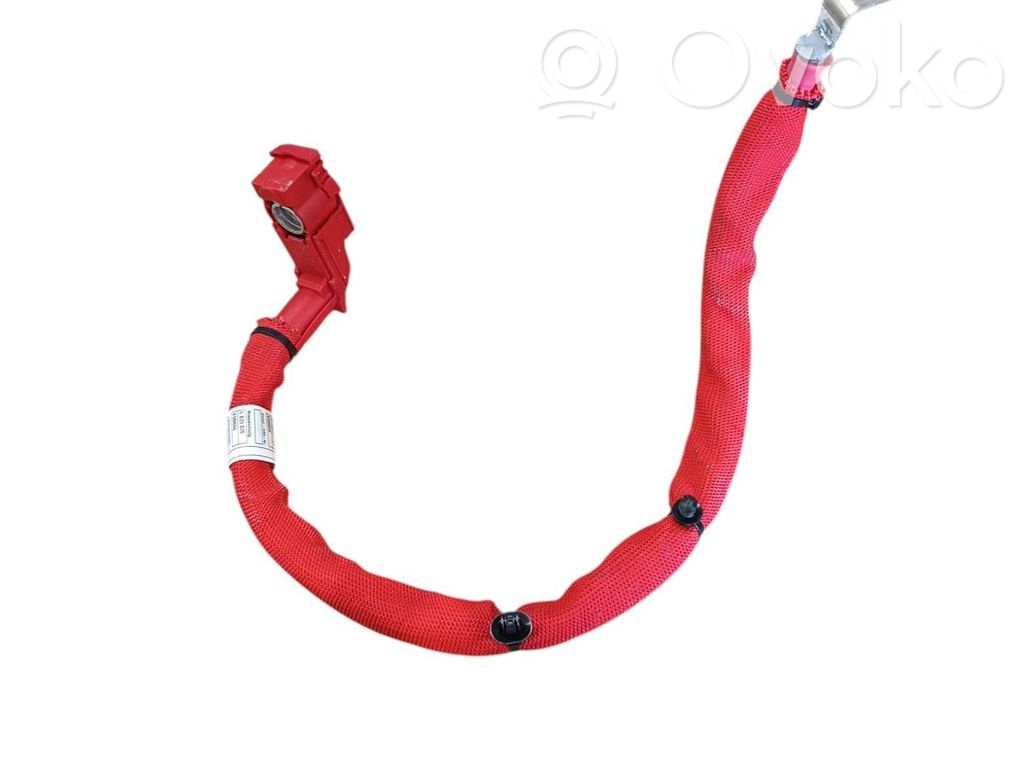 BMW X3 G01 Cable positivo (batería) 