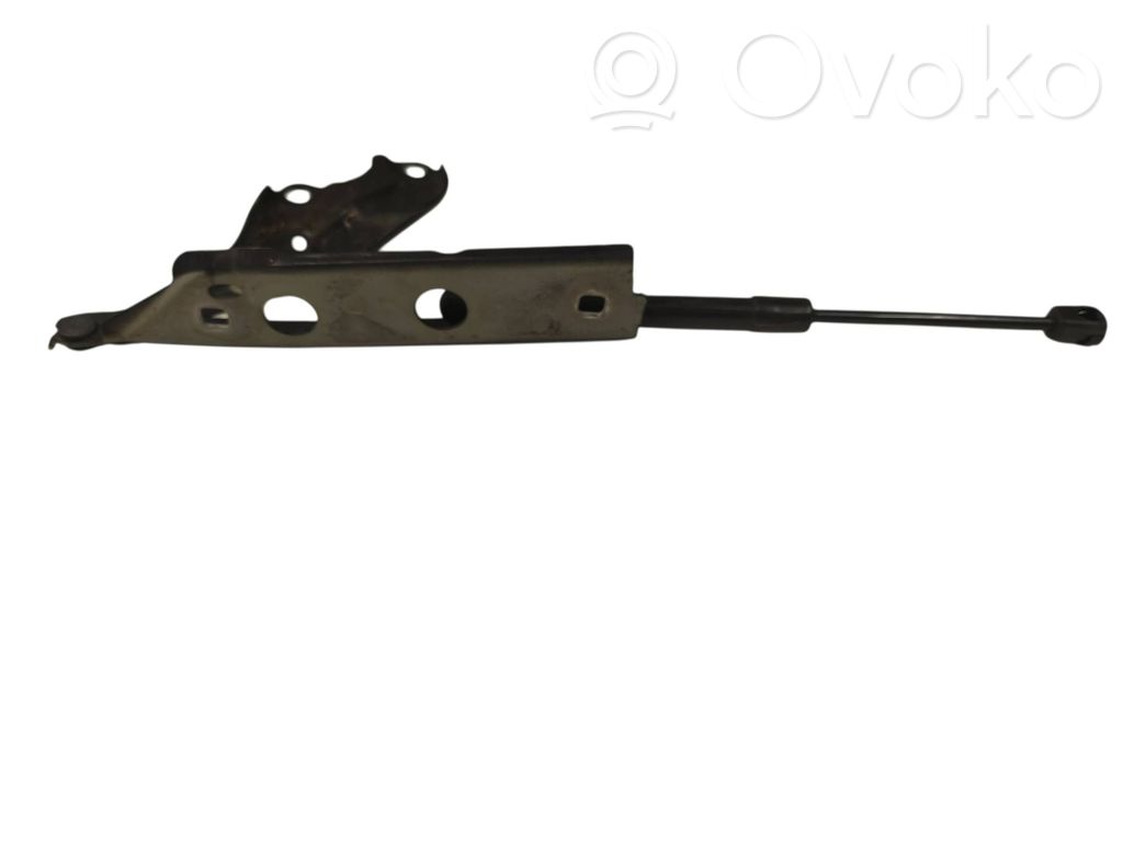 Audi A7 S7 4G Engine bonnet/hood hinges 