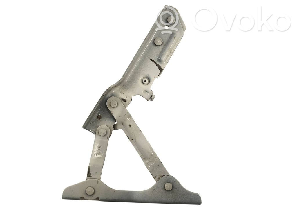 Tesla Model S Engine bonnet/hood hinges 