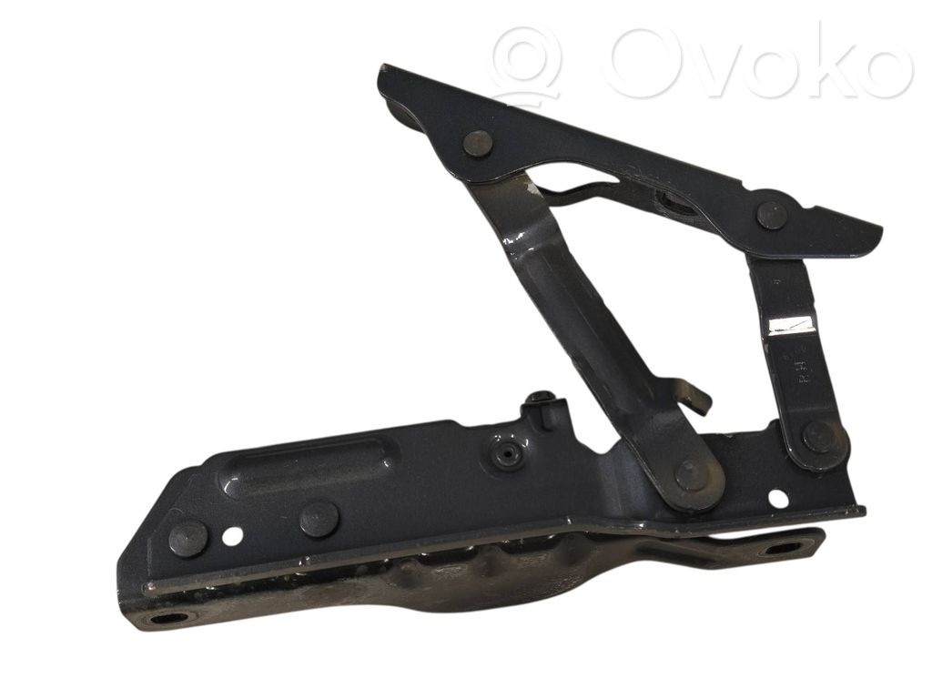 Tesla Model S Engine bonnet/hood hinges 