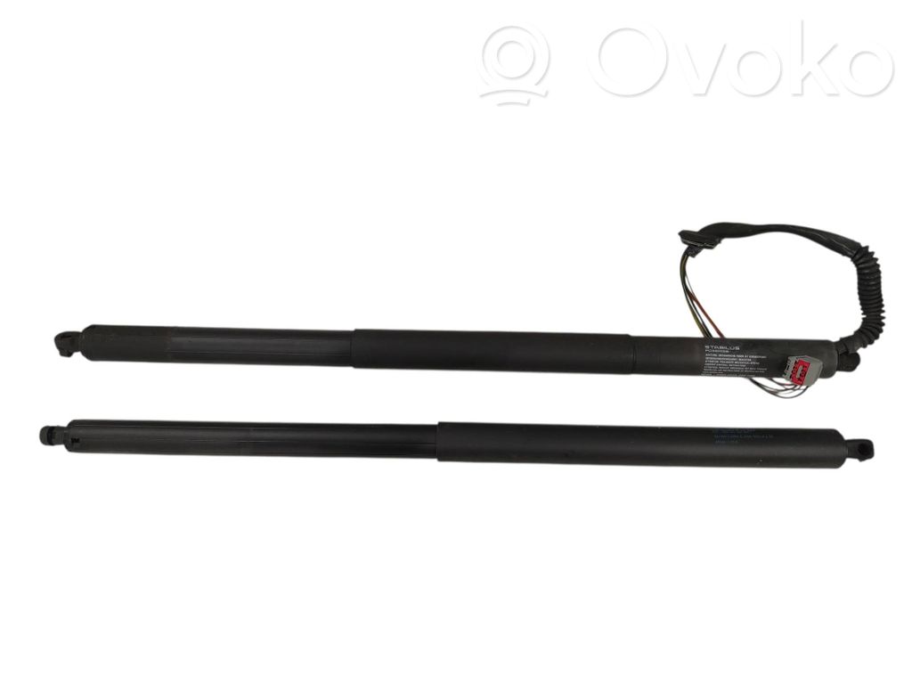 Tesla Model S Tailgate/trunk strut/damper 