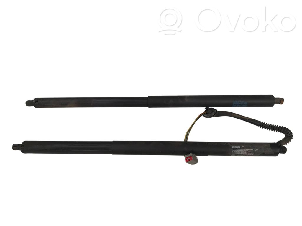 Tesla Model S Tailgate/trunk strut/damper 