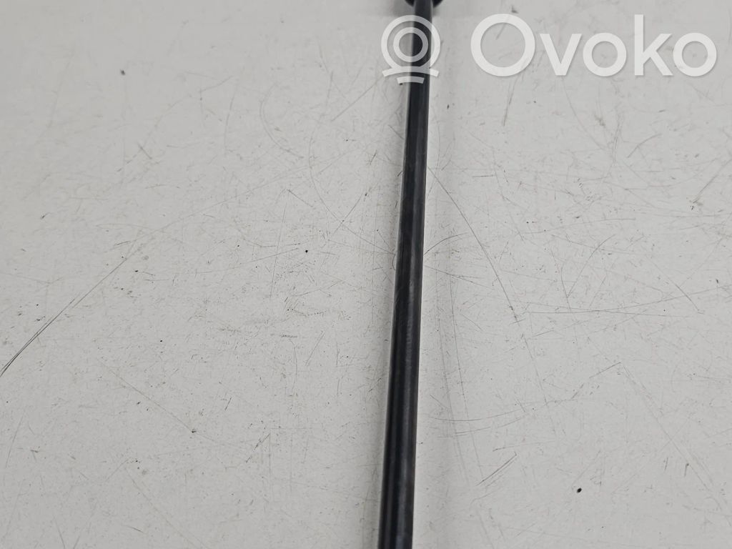 Opel Corsa D Tailgate/trunk strut/damper 