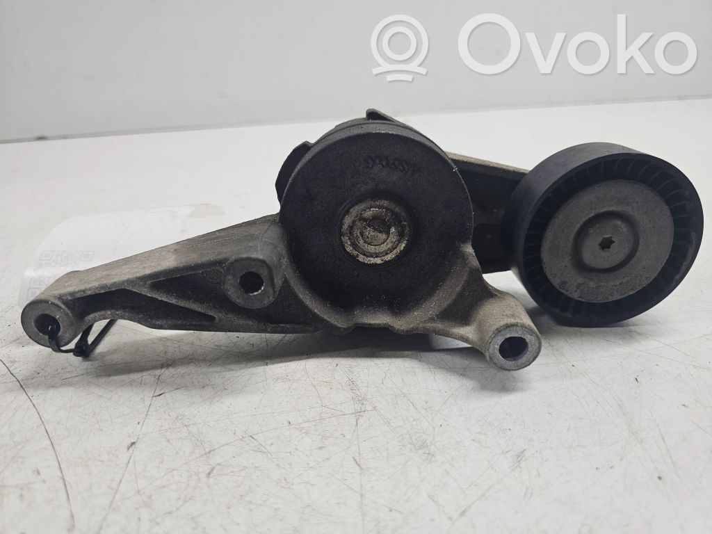 Seat Leon (1P) Napinacz paska alternatora 