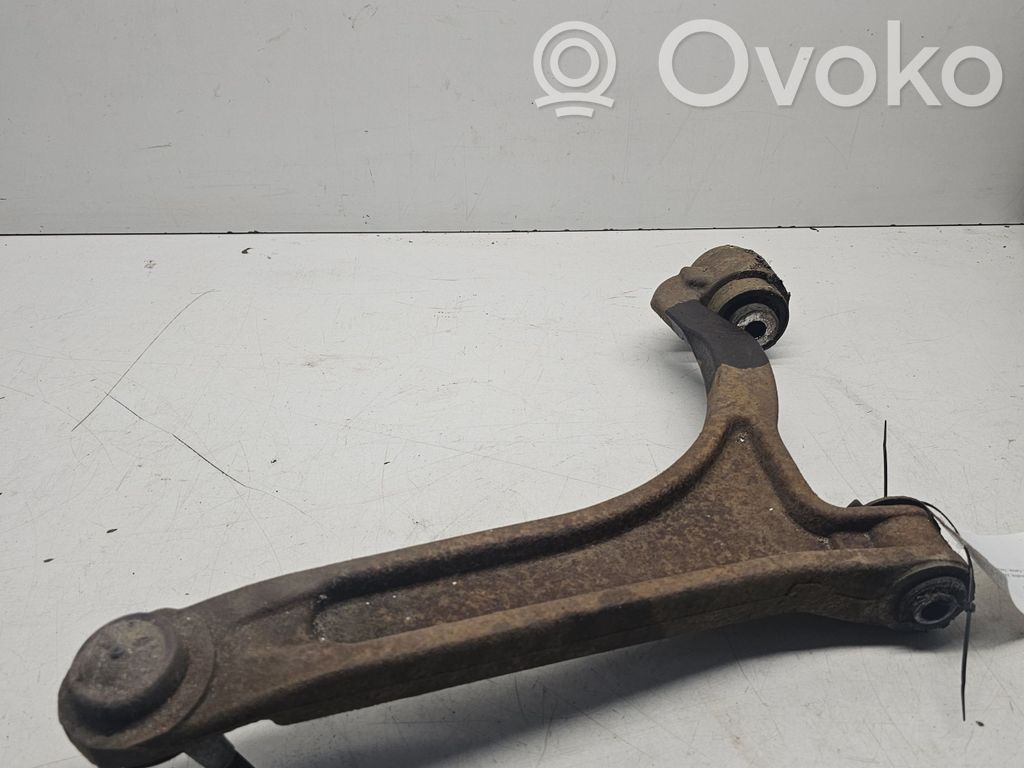 Front lower control arm/wishbone