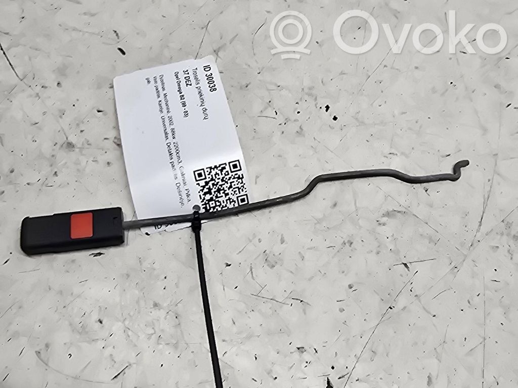 Línea de cable puerta delantera   24436817