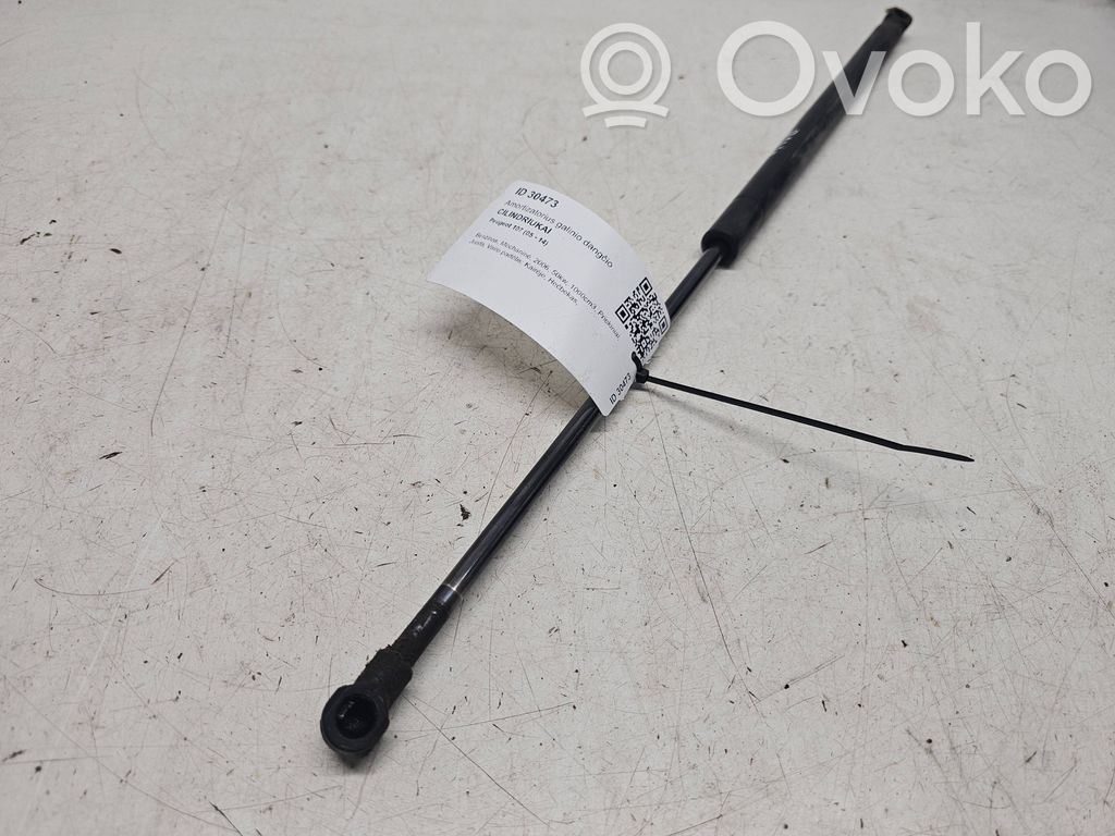 Peugeot 107 Tailgate/trunk strut/damper 