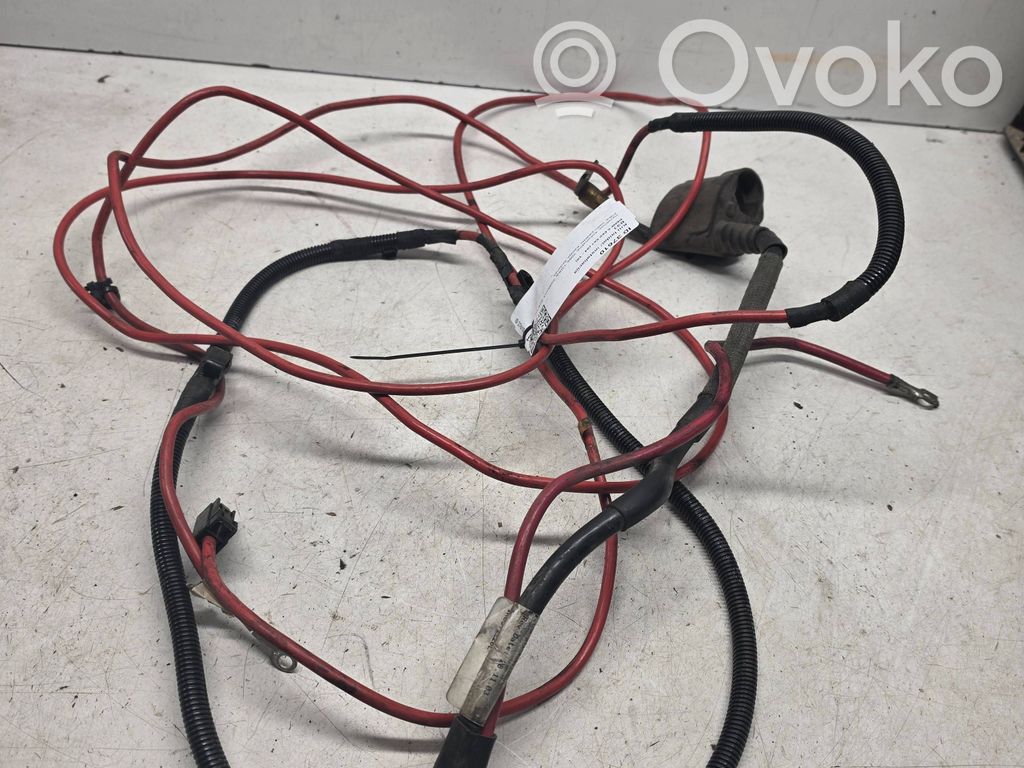 Other wiring loom   6900545