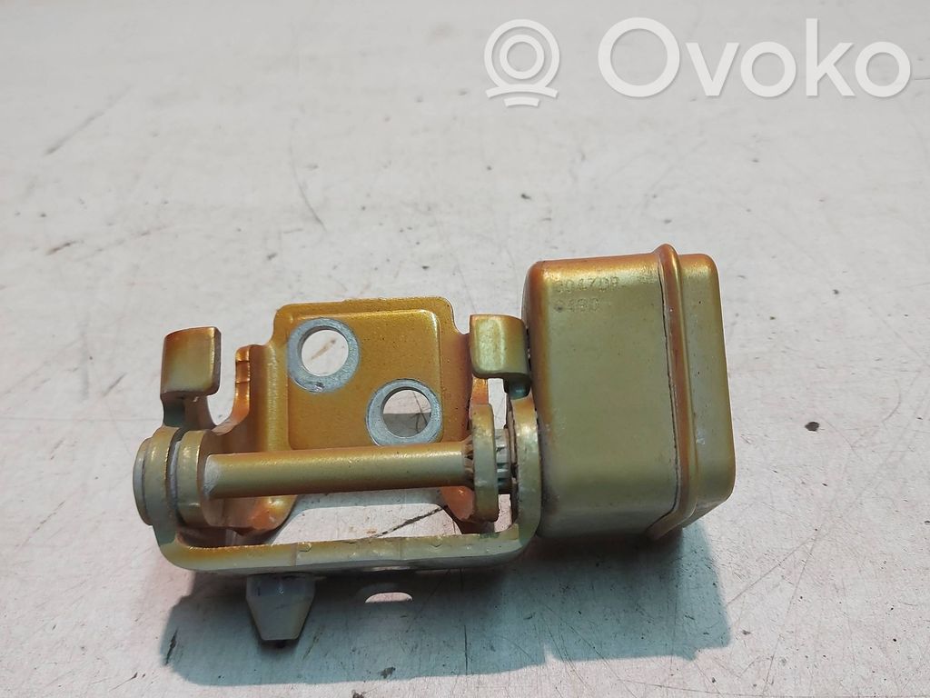 Peugeot 207 Rear door lower hinge 