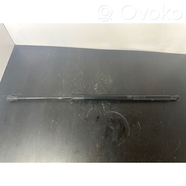 Tailgate/trunk strut/damper   30754538
