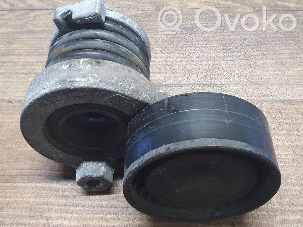 Mercedes-Benz Citan W415 Generator/alternator belt tensioner 