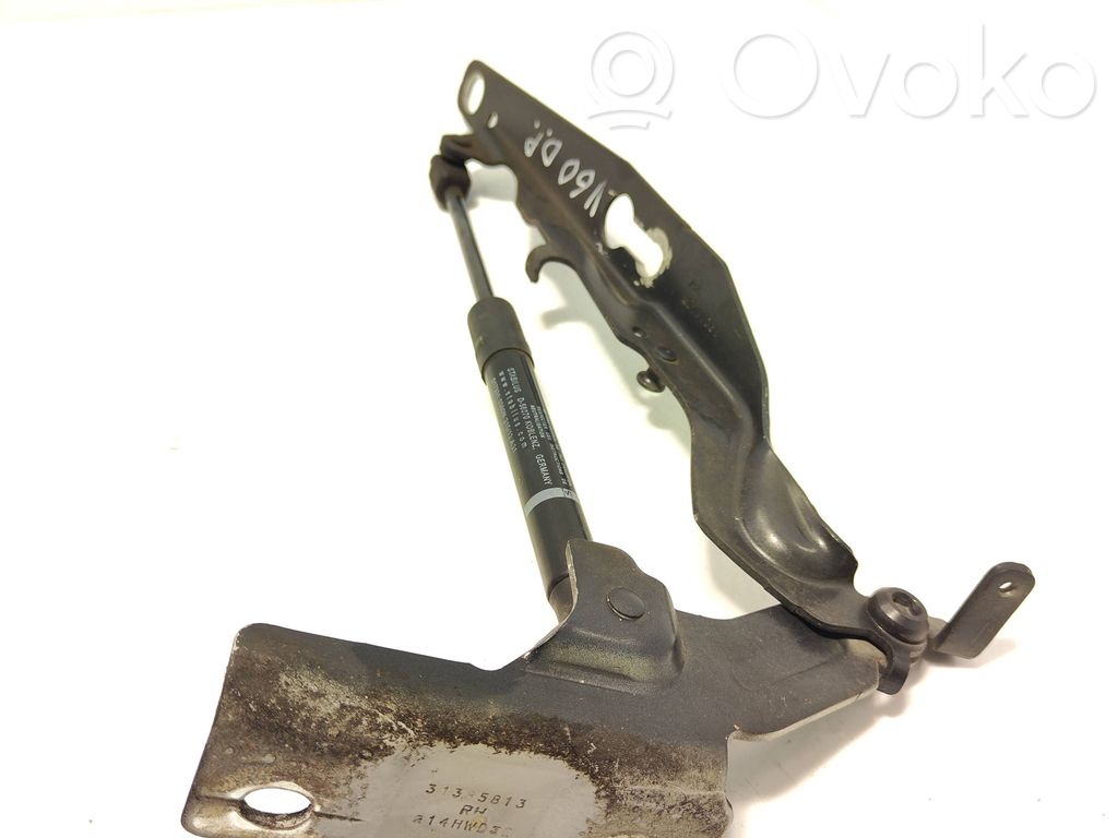 Volvo V60 Cerniere del vano motore/cofano 