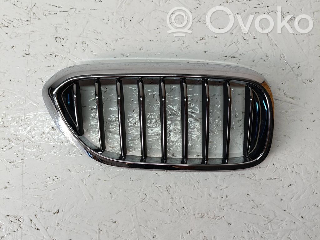 BMW 5 G30 G31 G38 Grilă față 