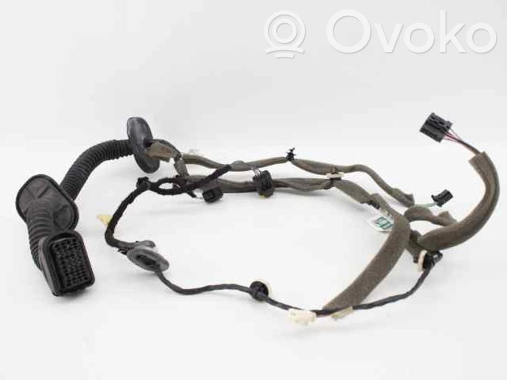 Renault Megane III Cableado de puerta delantera 
