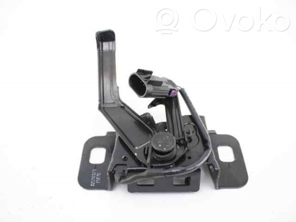 Tie down hook / loop   20938344,22788573