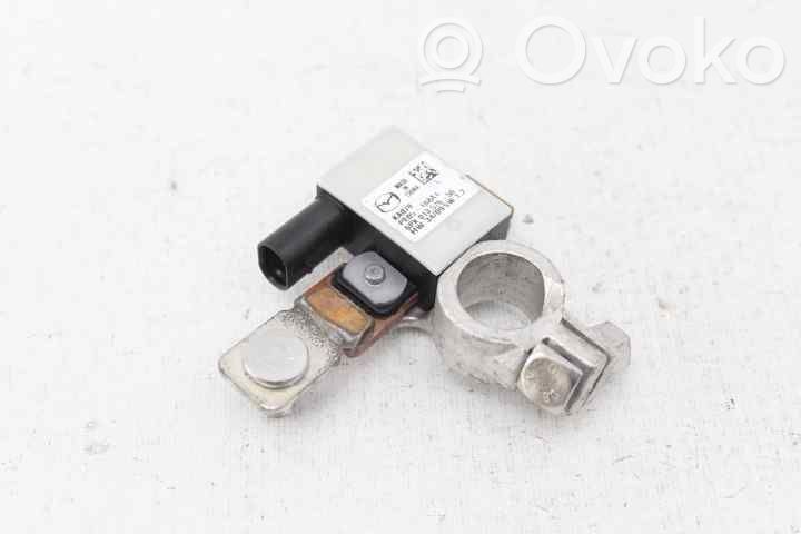 Otros cableados   6PK01057650