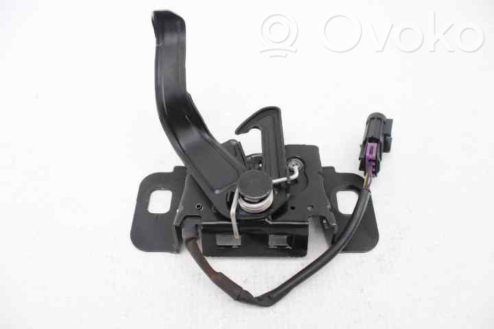 Tie down hook / loop   39088730,13345630