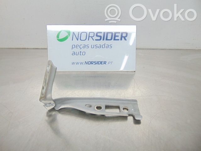 Ford Fiesta Dzinēja pārsega eņģe (-es) 
