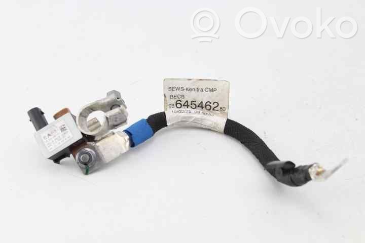 Opel Corsa F Sonstige Kabelbäume / Leitungssätze 