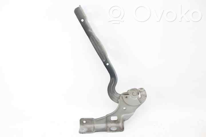 Citroen C4 II Cerniere del vano motore/cofano 