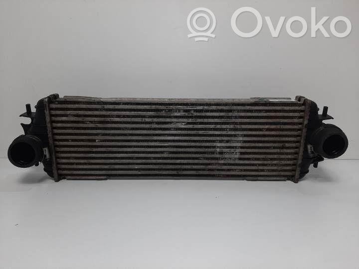 Radiador intercooler   7700312903,91166035