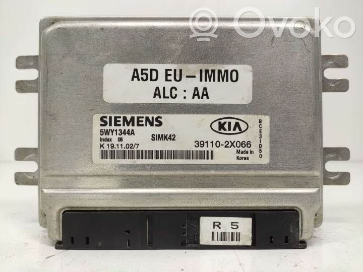 Engine control unit/module   5WY1344A,391102X066