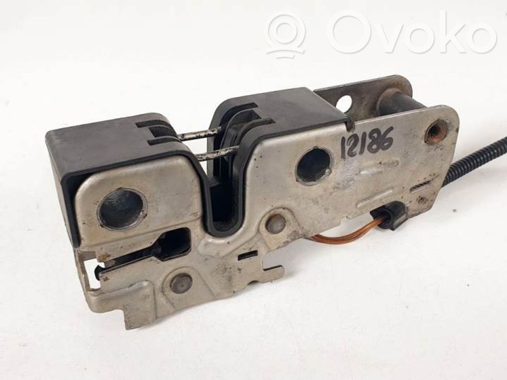 Tie down hook / loop   BN3CZVW