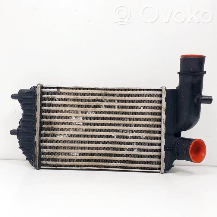 Radiador intercooler   1307012080,1319508