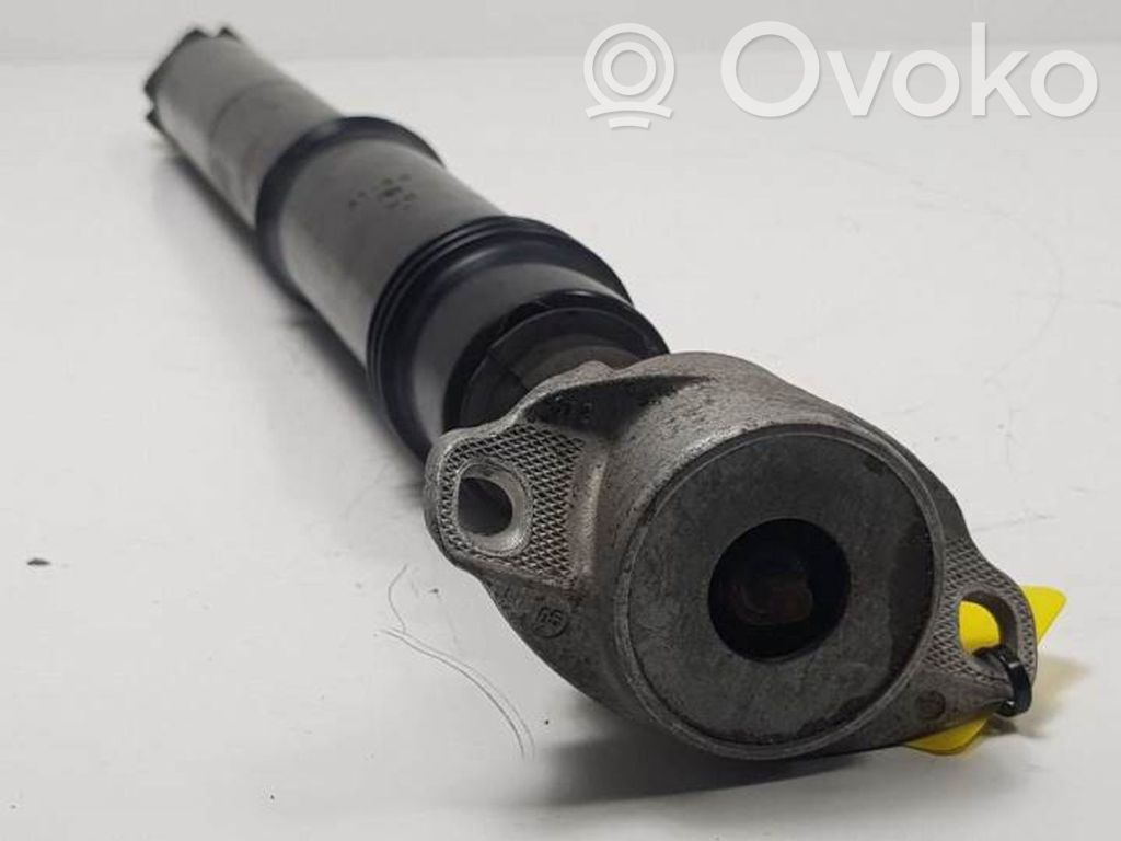 Stoßdämpfer hinten   E2056