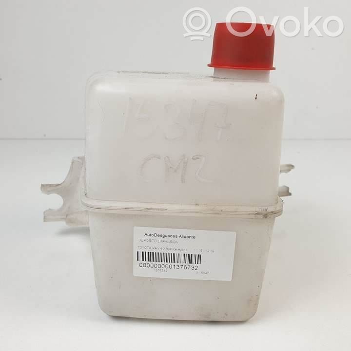 Toyota RAV 4 (XA40) Vas expansiune/rezervor lichid de răcire 